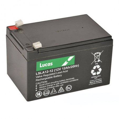Batterie AGM pour sondeurs 12 V - 12Ah - LUCAS