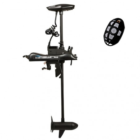 Moteur haswing cayman 55 lbs l137 arbre long