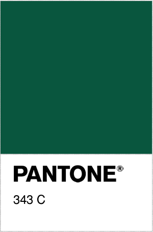 PANTONE 343C